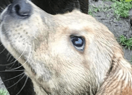 42e7a0ae-2692-4010-a1d5-8ffae87db453