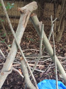 englefield-yr2-den-balance